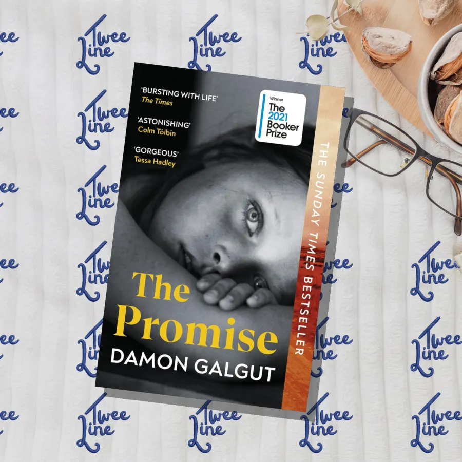 The Promise by Damon Galgut, front cover