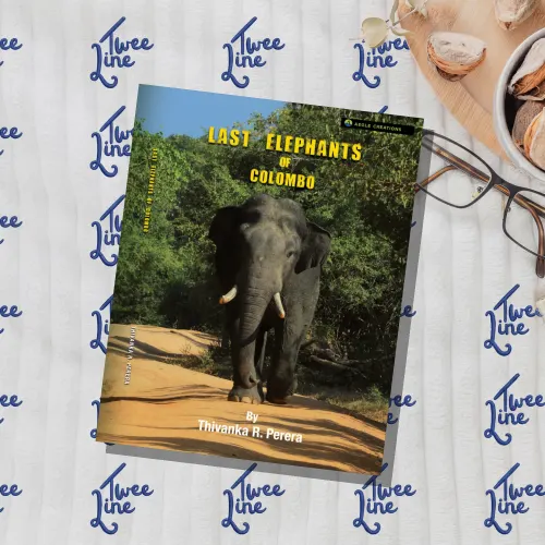 The Last Elephants of Colombo