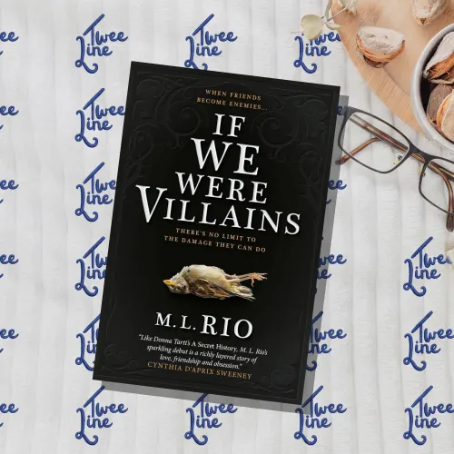 If We Were Villians