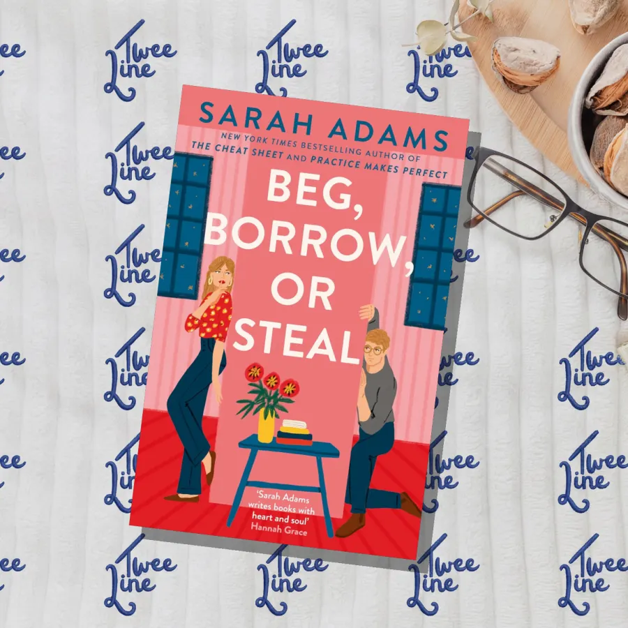 Beg, Borrow, or Steal by Sarah Adams, front cover