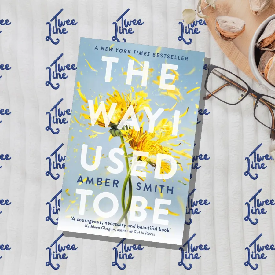 The Way I Used To Be by Amber Smith, front cover