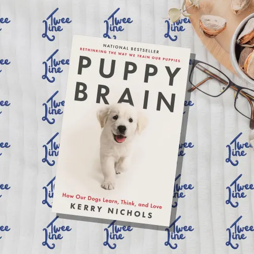 Puppy Brain: How Our Dogs Learn, Think, and Love