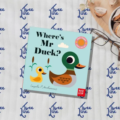 Where's Mr Duck?