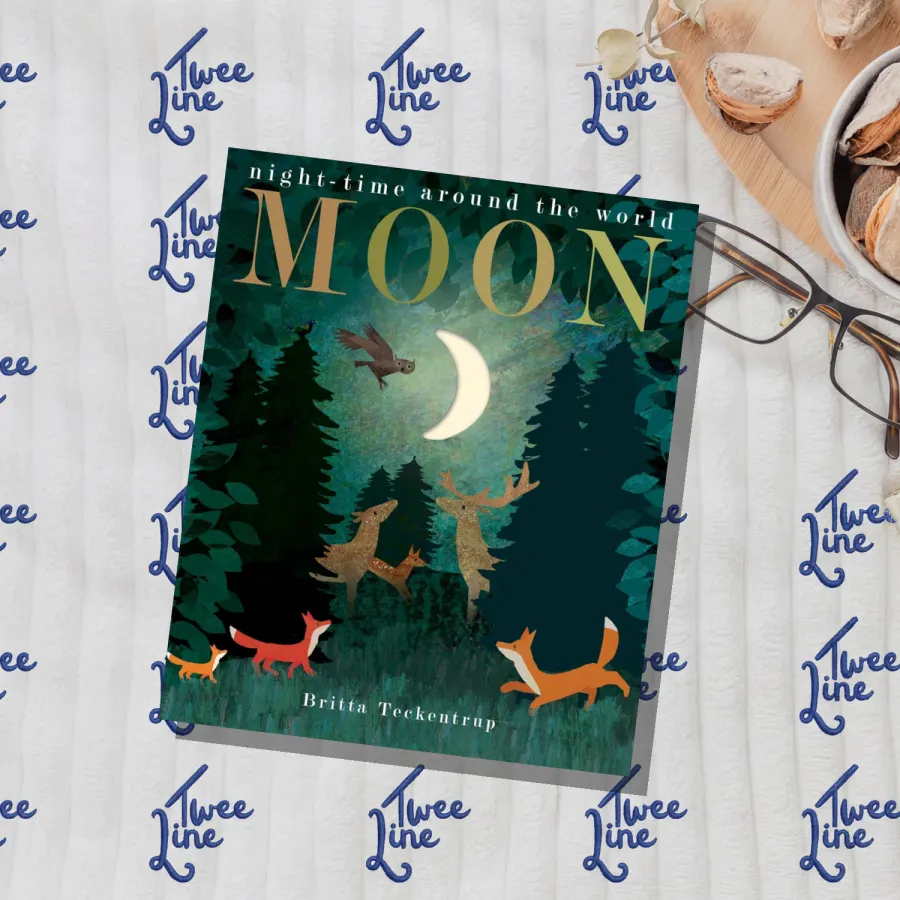 Moon: night-time around the world by Britta Teckentrup, front cover