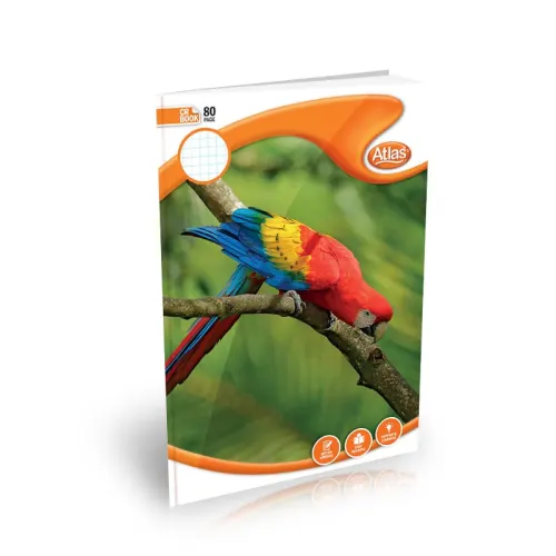 Atlas A4 Book CR 80Pgs (#) Square Ruled