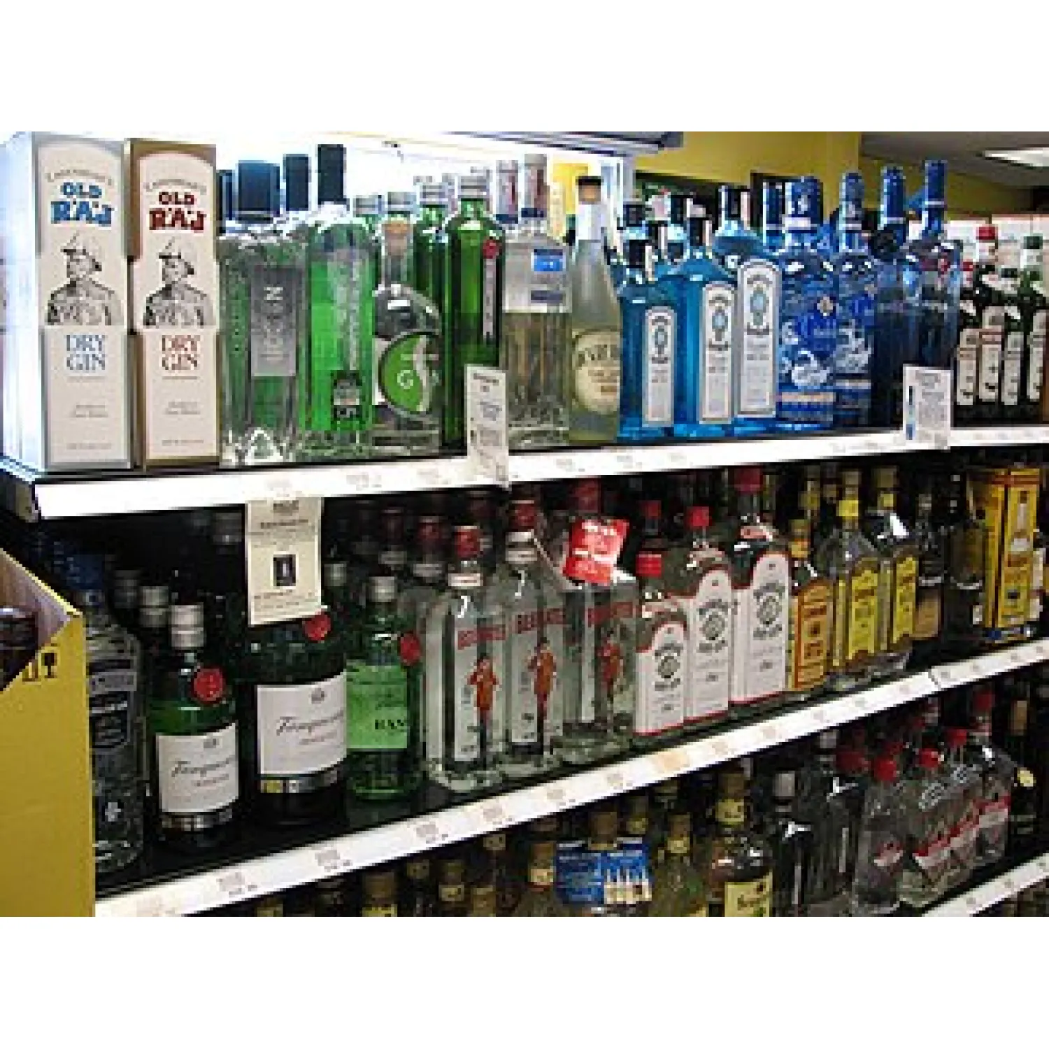 Bloomsbury Tonic